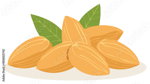Illustration of Almonds with Green Leaves Fresh Natural Food Concept