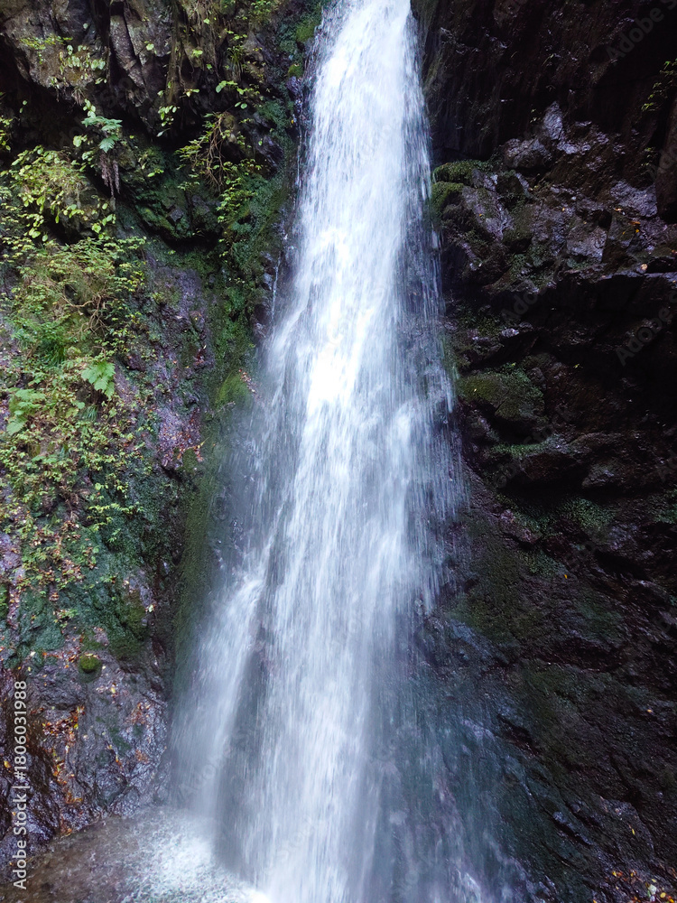 Fototapeta premium 日本の滝 塩川滝