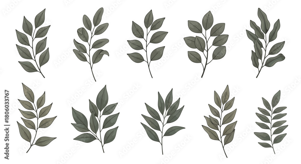 Fototapeta premium Set of Elegant Leafy Sprigs Nature-Inspired Botanical Elements for Design and Decoration