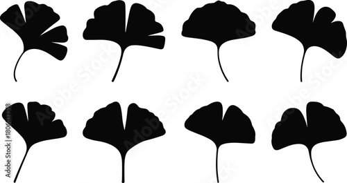Ginkgo leaf silhouettes collection showcasing natural botanical shapes, elegant foliage diversity, plant outlines for design, illustration, decoration, and creative graphic projects