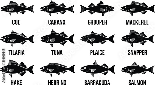Silhouette fish vector set, black marine icons, seafood illustration bundle, aquatic species chart, editable animal shapes for design