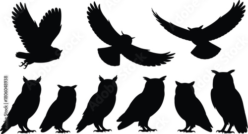 Owl Silhouettes Set, Flying Birds Vector, Night Wildlife Predators, Black Animals Collection, Wings Spread Icons, Perched Owls