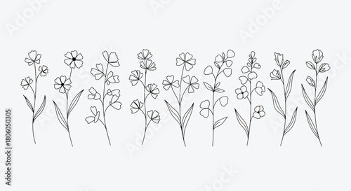 Elegant botanical line art illustrations featuring delicate flowers and leaves for design