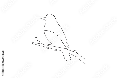 Bird couple continuous one line drawing minimalist outline vector illustration
