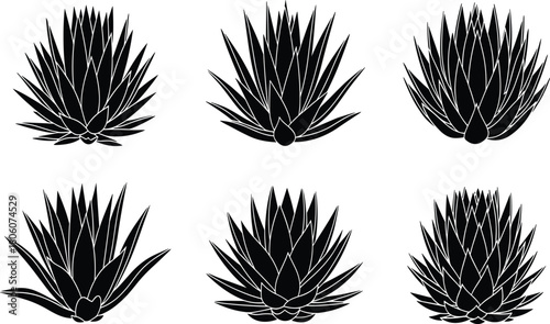 Agave plant silhouette collection, botanical desert foliage illustration, tropical succulent leaves, cactus style vector design, nature decorative graphic art