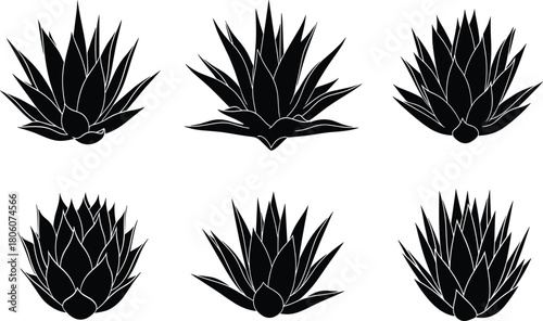 Agave plant silhouette collection, desert cactus foliage vector, tropical succulent leaves illustration, botanical decorative nature graphic, sharp pointed leaf design art