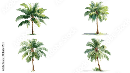 A serene watercolor illustration of tropical palm trees with soft green leaves and gentle textures, creating a calm and natural botanical scene on a clean white background.