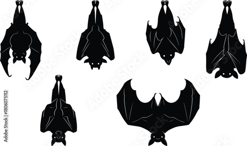 Bat silhouettes hanging upside down, nocturnal wildlife mammals, spooky Halloween illustration, flying fox vector art, gothic nature design, dark animal graphic