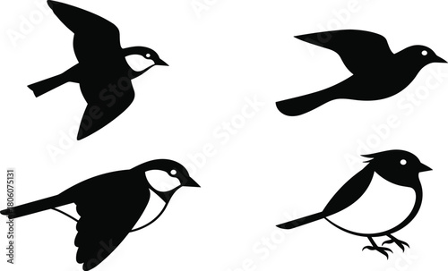 Bird silhouette illustration, flying bird vector, perched bird design, black and white bird art, avian pose collection, wildlife graphic