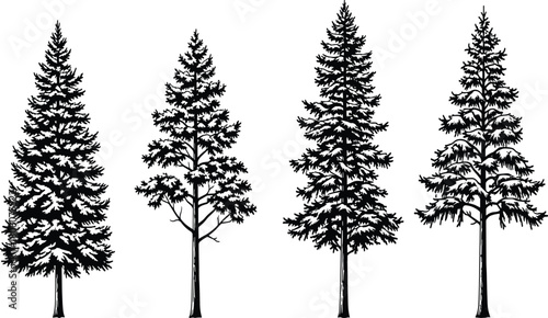 Black conifer tree silhouette vector collection, pine forest illustration set, evergreen nature design, woodland landscape artwork, botanical graphic, decorative element