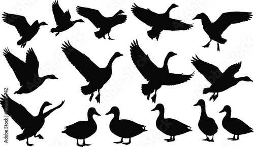 Black duck silhouette vector collection, flying bird illustration set, standing waterfowl, walking animal, wildlife design, nature artwork, decorative graphic element
