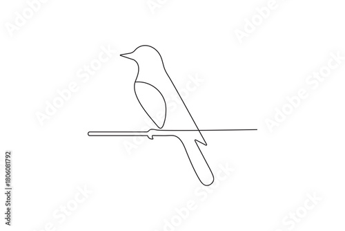 Bird couple continuous one line drawing minimalist outline vector illustration
