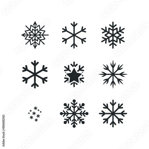 Collection of diverse snowflake icons for winter themes and seasonal messaging