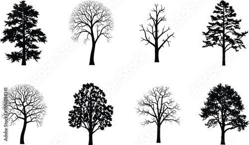 Black tree silhouette vector collection, forest illustration set, coniferous pine, deciduous oak, woodland landscape artwork, nature botanical graphic, decorative design element