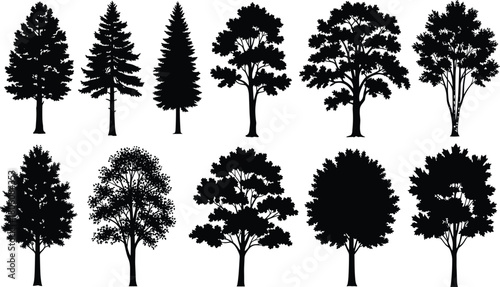Black tree silhouette vector collection, forest illustration set, coniferous pine, deciduous oak, nature landscape design, woodland, botanical graphic art
