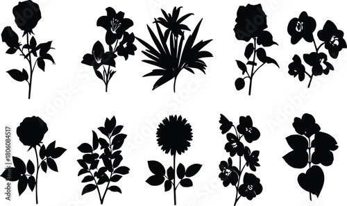 Botanical flower and leaf silhouettes, fern foliage, rose blossom, daisy floral vector illustration, nature decorative plants, garden design elements art