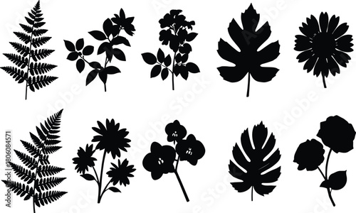 Botanical plant leaf and flower silhouettes, fern foliage, rose blossom, daisy floral vector illustration, nature design elements, decorative garden art
