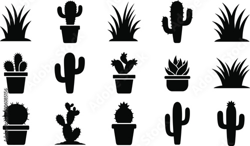 Cactus and desert plant silhouettes, spiky round branching succulents, potted cactus icons, botanical vector illustration, nature foliage decorative graphic art
