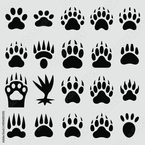 Collection of various animal paw prints, showcasing different species and their unique tracks isolated on white background