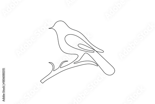 Bird couple continuous one line drawing minimalist outline vector illustration

