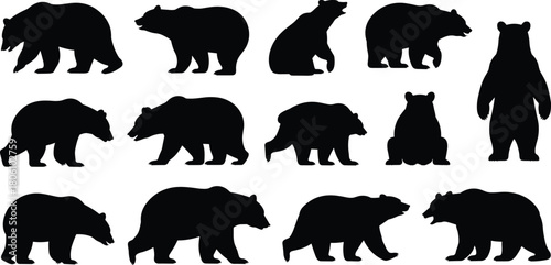 Bear silhouette illustration, walking and sitting poses, wildlife icon set, animal movement, forest creature, nature graphic, standing bear