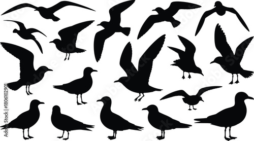 Bird silhouette illustration set, flying and perched poses, nature icon, wing motion, avian graphic, wildlife shape, animal design