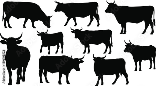 Cow silhouette illustration set, walking and standing poses, livestock icon, farm animal graphic, rural nature shape, domestic cattle