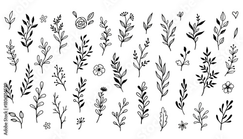 Collection of hand-drawn vector botanical elements. Set of doodle-style branches, leaves, flowers, and twigs for decorative design