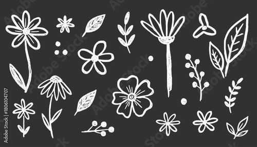 A charming collection of hand-drawn chalk doodle flowers and botanical leaves. Simple floral sketch elements isolated on a dark blackboard background