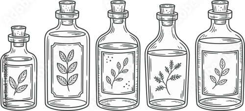 Handdrawn Black and White Line Art Illustration of Five Bottles Containing Different Botanicals