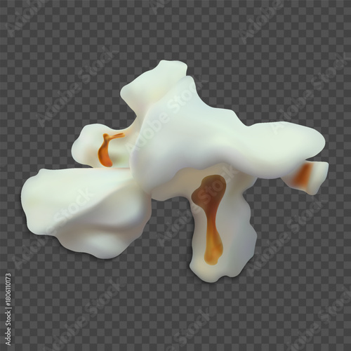 Abstract popcorn shape. Popped corn kernel, salty or sweet.