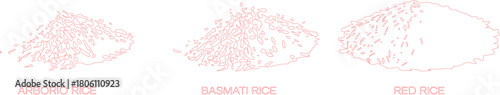 Line Art Illustration of Three Rice Varieties Arborio, Basmati, and Red Rice