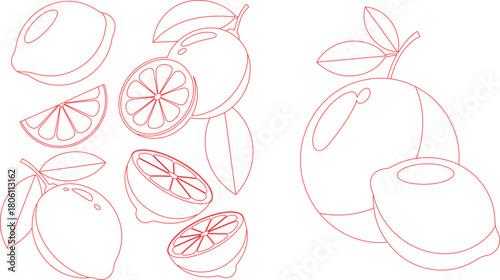 Line Art of Lemons, Slices, and Leaves in Red Contour Outlines on White