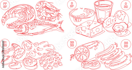 Outlined Assortment of Food Items Fish, Shrimp, Eggs, Cheese, Nuts, Water, Zucchini, and Sausage