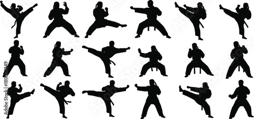 Female karate martial arts high kick silhouette collection, representing women's self-defense, discipline, power, fitness training, and combat sport on white background