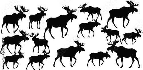 Here is a new, unique set of title and keywords for the image of hot air balloons over mountains, optimized for SEO on Adobe Stock: