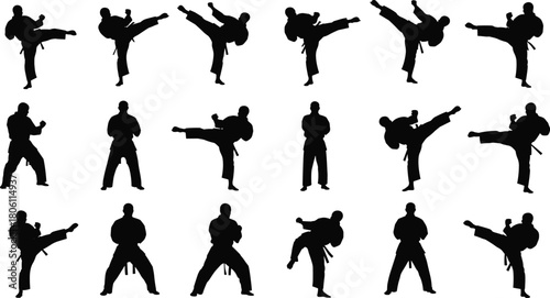 Karate martial arts high kick and fighting stance silhouette collection, representing discipline, self-defense, power, fitness, training, and combat sport on white background