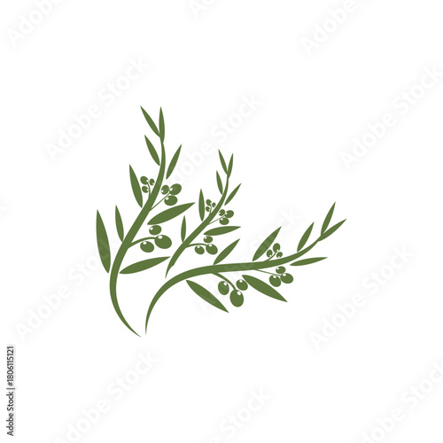 Olive logo and symbol vector