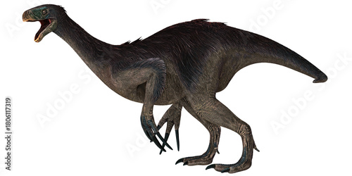 Feathered dinosaur Therizinosaurus on white background