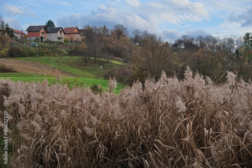 Little village on the hill with dense vegetation in front