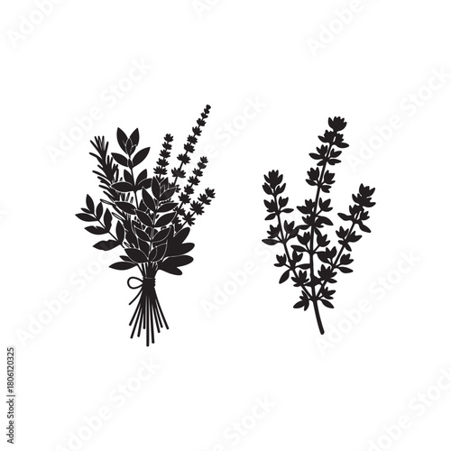 Elegant thyme and rosemary herb bouquet isolated on