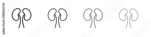 Kidney icon. Simple graphic element set