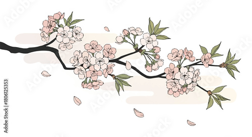 Elegant Cherry Blossom Branch Drawing