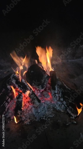 Wood burns ablaze, preparing embers for a barbecue, and cooking meat for dinner, on a black iron background