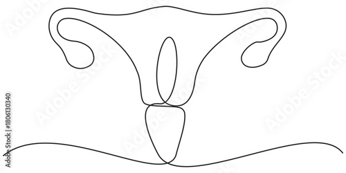 Continuous line drawing of women's Uterus and Ovary. One line Female reproductive system, Vector minimalist linear illustration, Isolated flat illustration hand draw contour on.