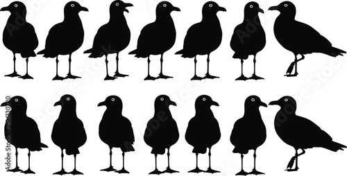 Seagull silhouettes set, standing bird vector illustration, black marine animal icons, beach wildlife collection, ocean coast nature symbol, isolated on white background