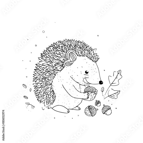 Squirrel art drawing illustration animal wildlife nature black and white pinecone forest rodent sketch artwork line art