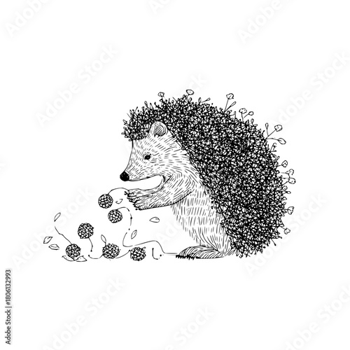 Fox playing harp under moon and stars illustration night scene animal music fantasy art drawing design black and white