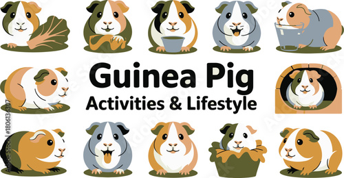 Cute Cartoon Guinea Pig Activities and Lifestyle Illustrated Feeding, Playing, and Resting Poses