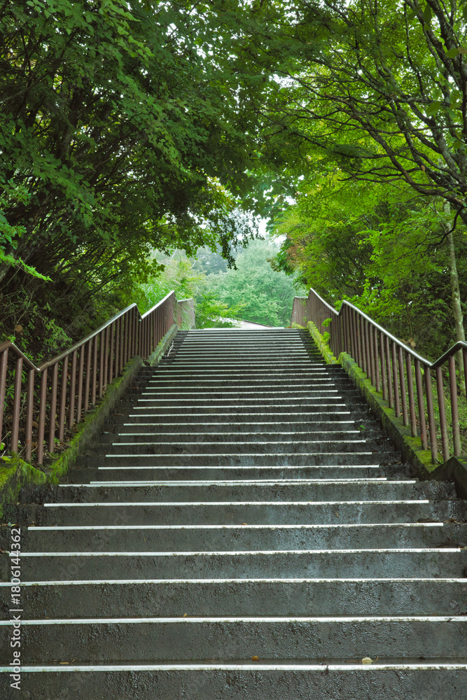 Obraz premium この先に何がある?